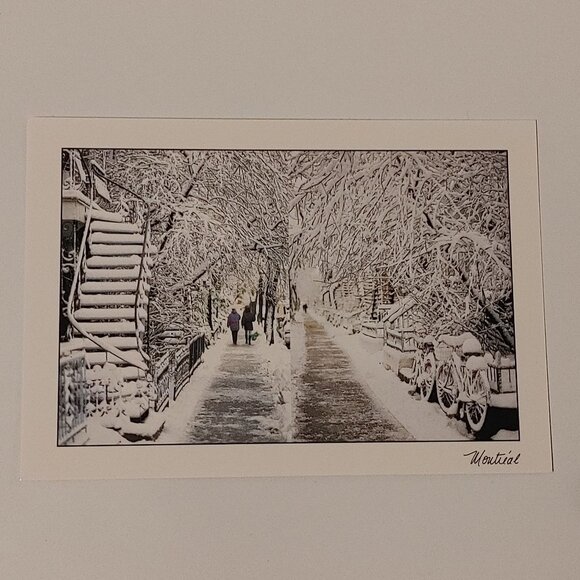 BEAUTIFUL MONTREAL City Postcard Michael Degray Rainy Day After The Snowstorm - Picture 1 of 3